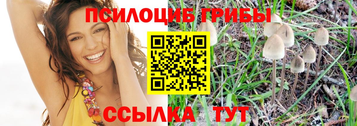 Псилоцибиновые грибы Psilocybe  Вход с VPN  Псилоцибиновые грибы мухоморы  Усолье-Сибирское 