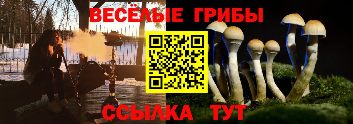 Галлюциногенные грибы Psilocybe Усолье-Сибирское
